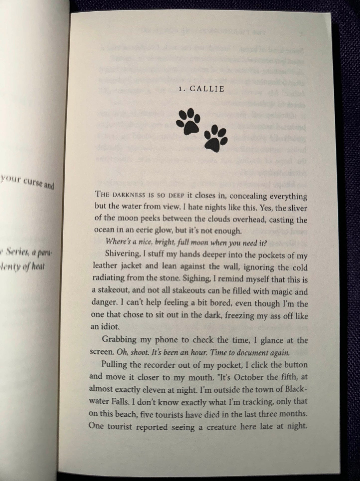 The Firehouse Feline The Complete Series Omnibus Paperback Signed by L.A. Boruff with swag pack