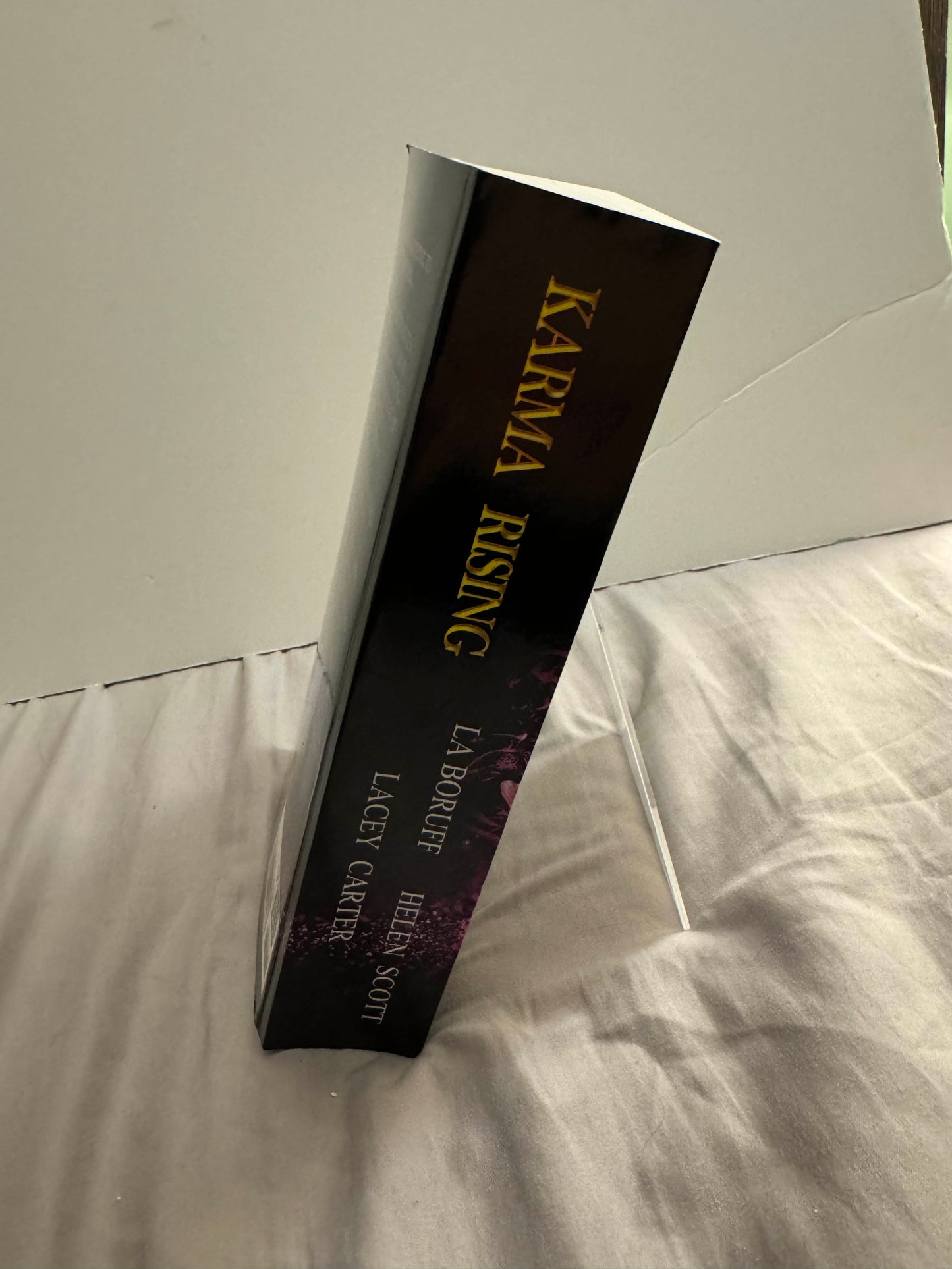 Karma Rising Magical Midlife in Mystic Hollow Books 1-3 Omnibus Paperback Signed by L.A. Boruff with swag