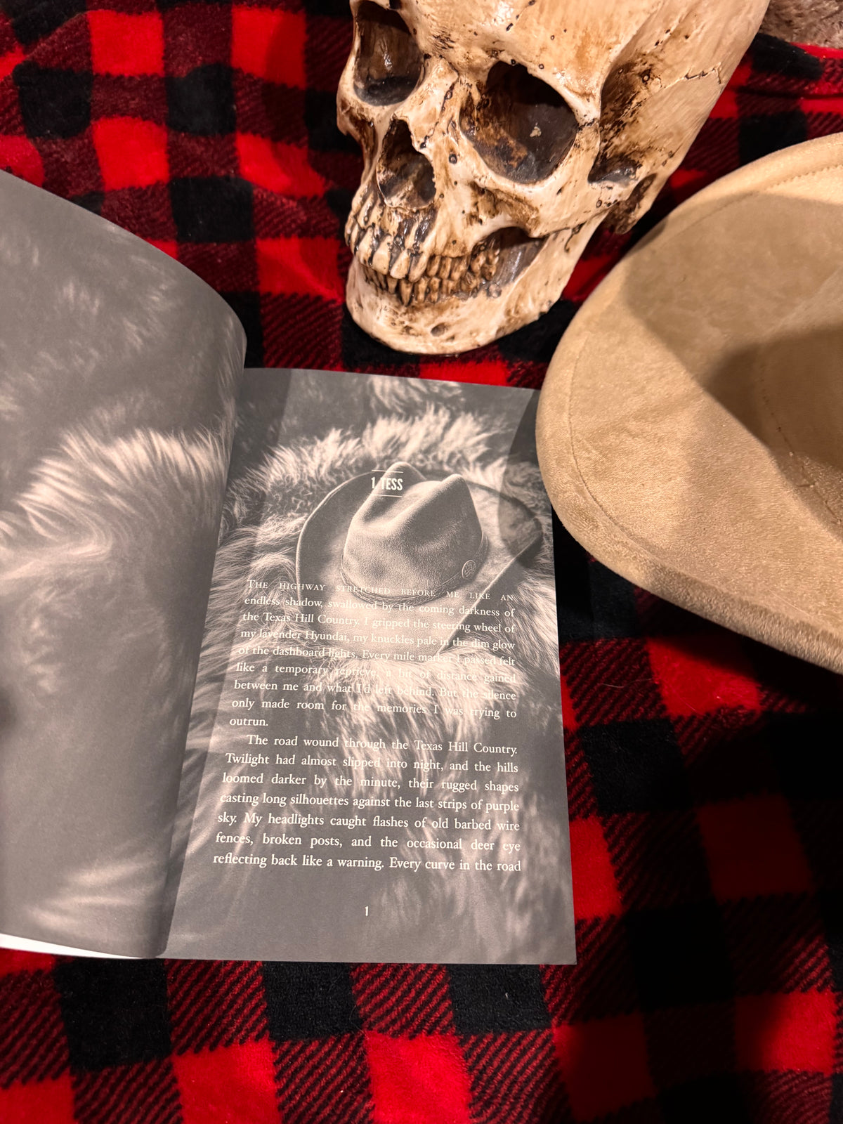 The Cowboy and the Stray by Lainie Anderson signed with swag pack! New Cover!