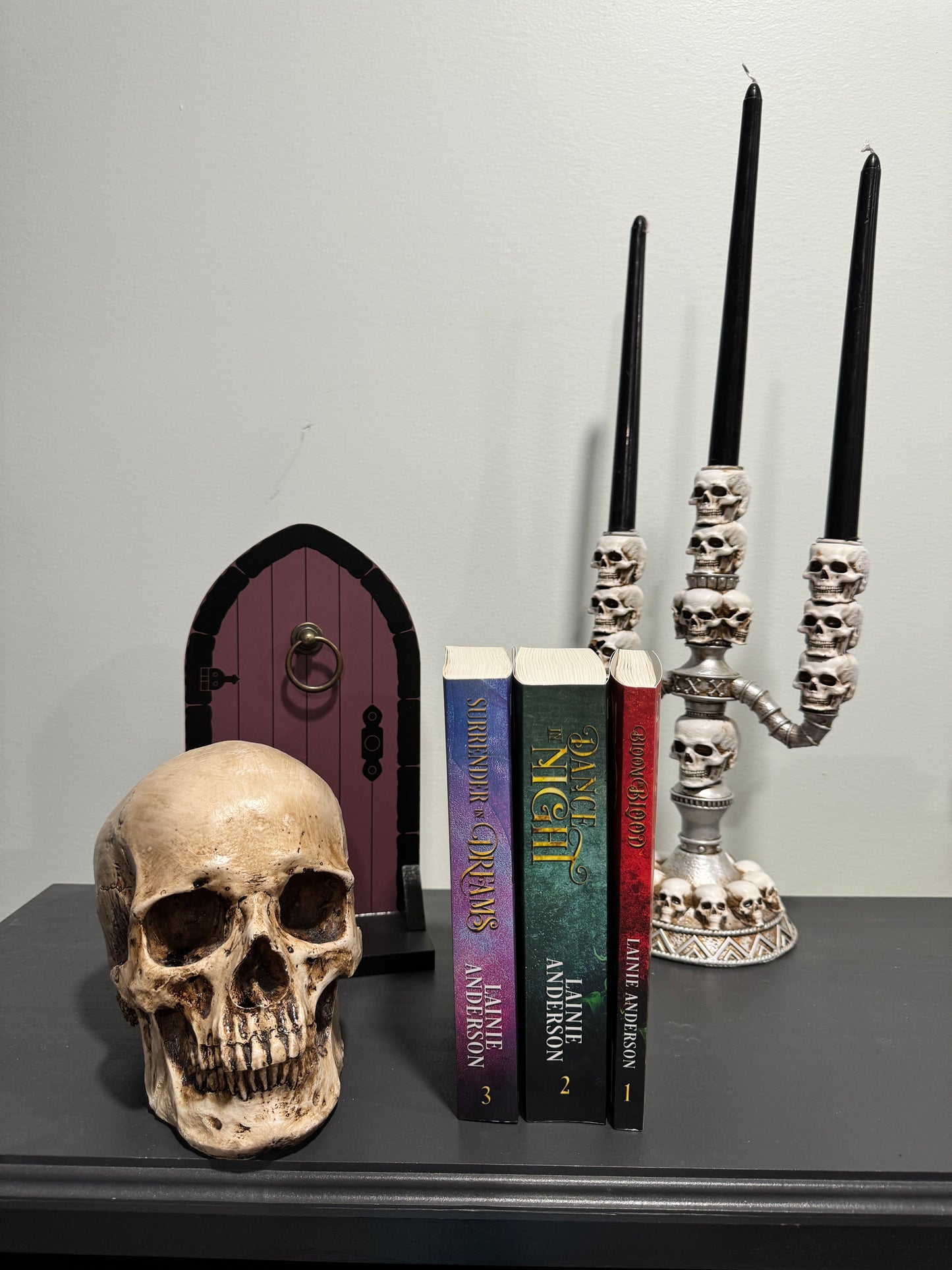 An Unseen War complete Trilogy Bundle Signed by Lainie Anderson and comes with a swag pack!