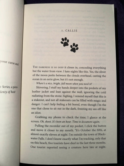 The Firehouse Feline The Complete Series Omnibus Paperback Signed by L.A. Boruff with swag pack