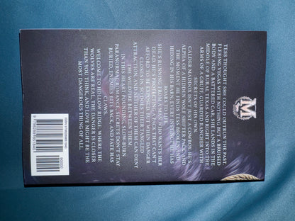 The Cowboy and the Stray by Lainie Anderson signed with swag pack!