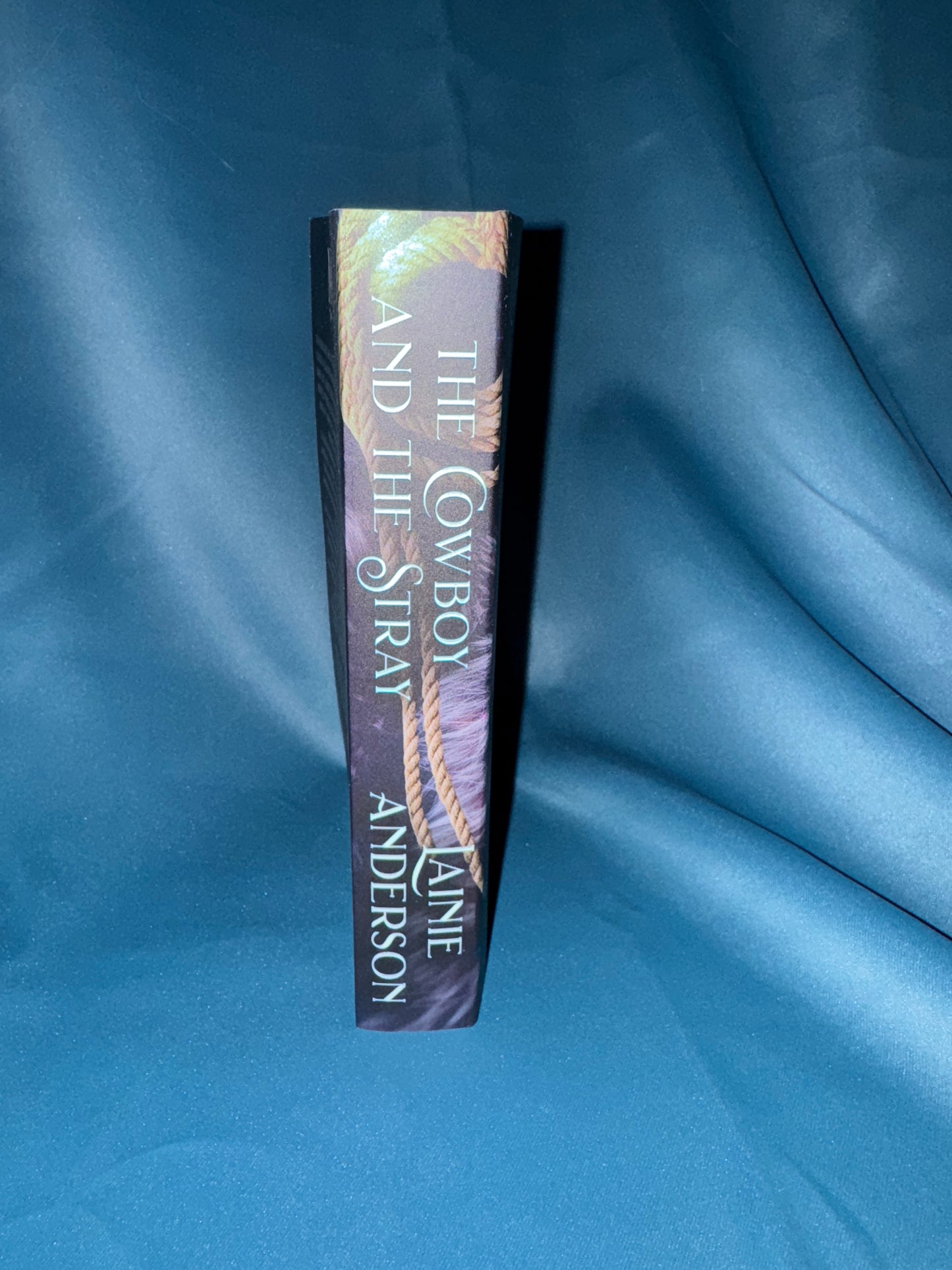 The Cowboy and the Stray by Lainie Anderson signed with swag pack!