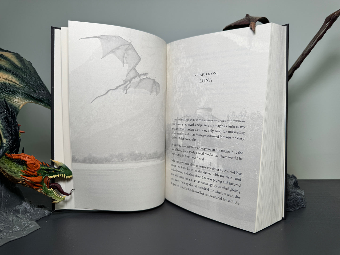 A Hunter For Luna Hardback Signed by Cora Masters With Swag