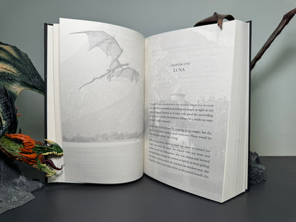 A Hunter For Luna Hardback Signed by Cora Masters With Swag