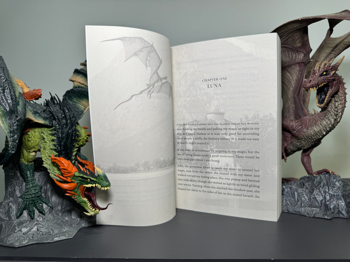 A Hunter For Luna Paperback Signed by Cora Masters With Swag!