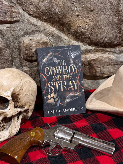 The Cowboy and the Stray by Lainie Anderson signed with swag pack! New Cover!
