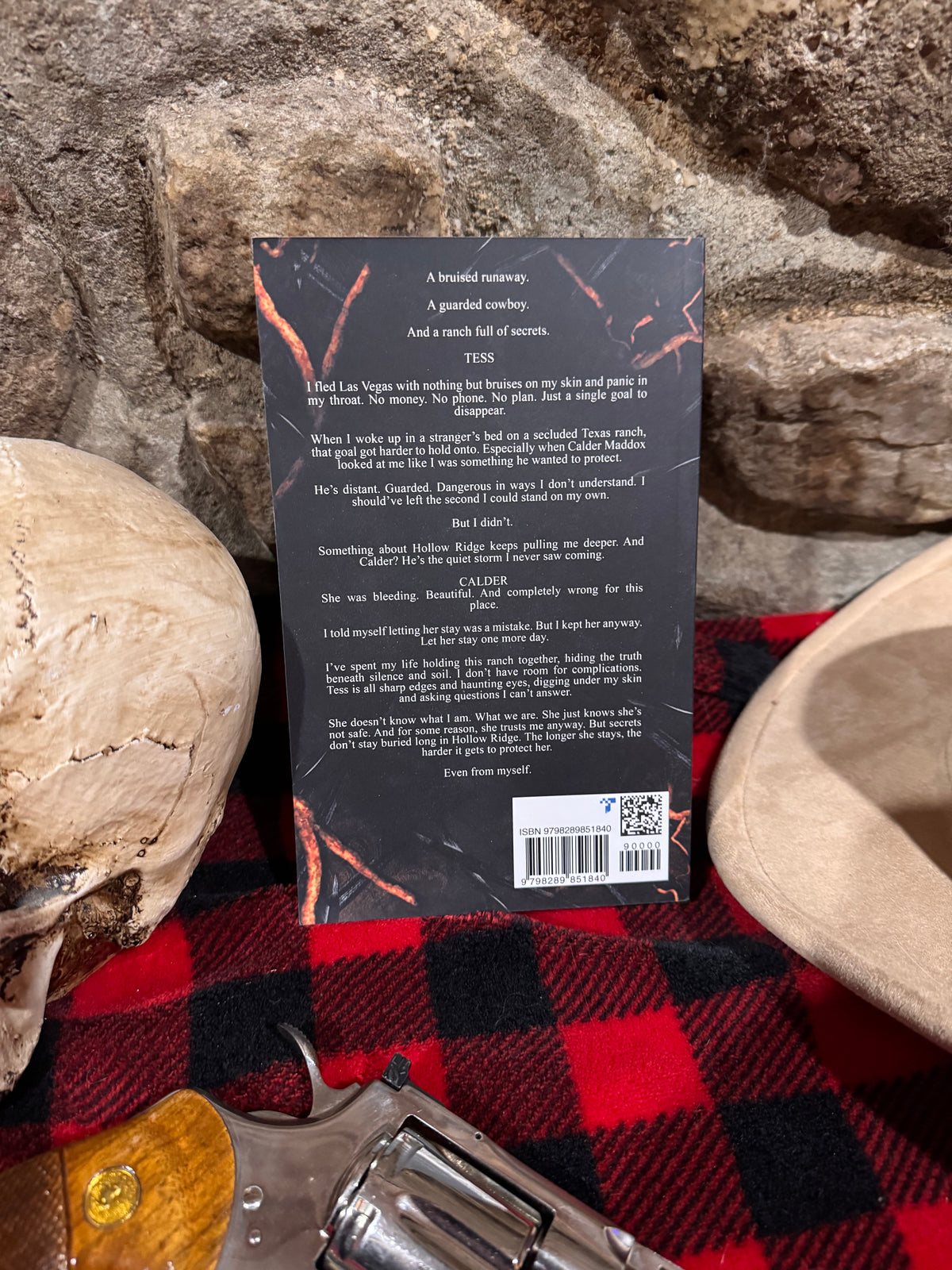 The Cowboy and the Stray by Lainie Anderson signed with swag pack! New Cover!