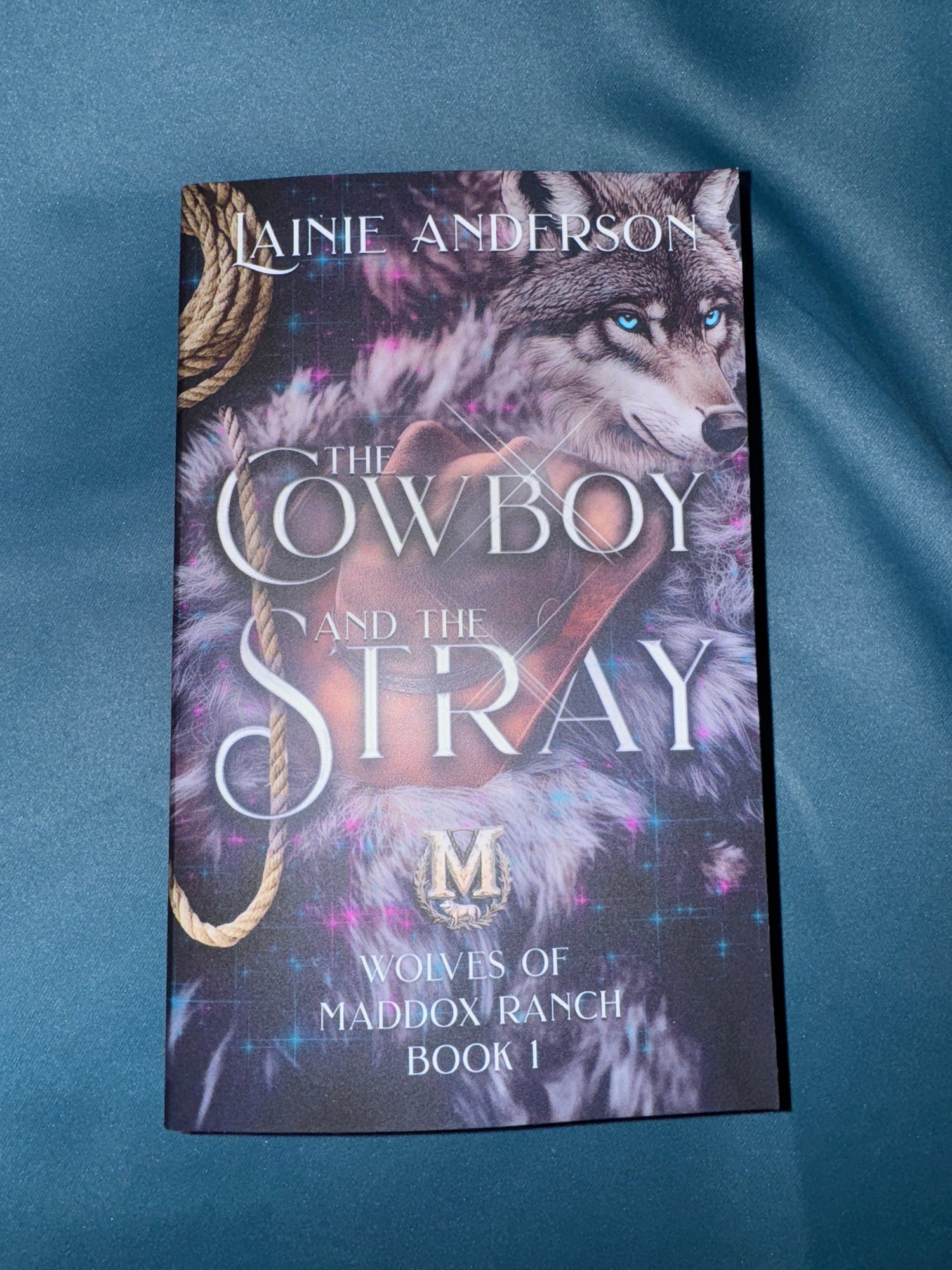 Book cover of 'The Cowboy and the Stray' by Lainie Anderson on a blue fabric background