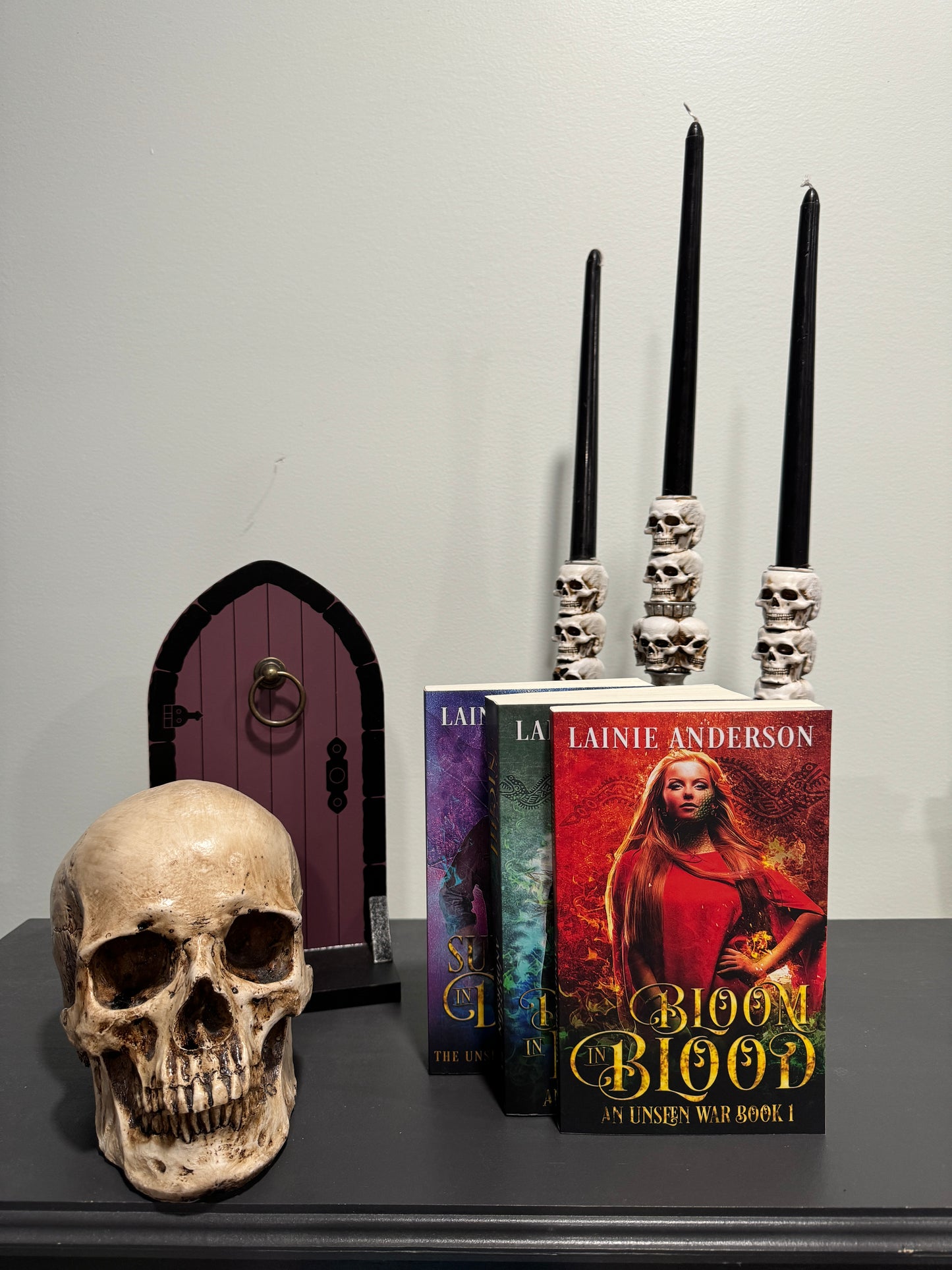 An Unseen War complete Trilogy Bundle Signed by Lainie Anderson and comes with a swag pack!