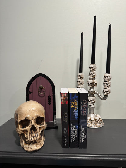 The Collective World MegaSeries: 3 Complete Series Bundle! Signed by Lainie Anderson and Lia Davis with Swag