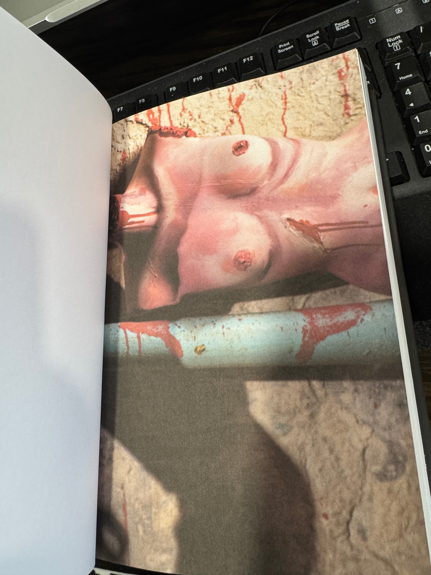 Playhouse of Horrors Special Edition Signed by Cora Masters Hardback with Swag!