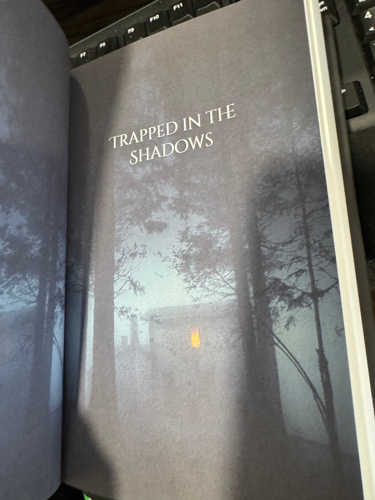 Playhouse of Horrors Special Edition Signed by Cora Masters Hardback with Swag!